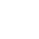 icons-colivinn-security